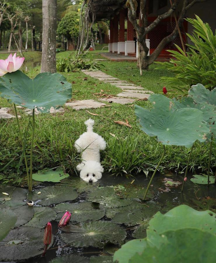 Les Hameaux De L'Orient Hotel Thành Pho Ho Chí Minh Esterno foto