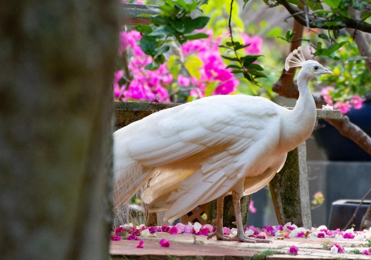 Les Hameaux De L'Orient Hotel Thành Pho Ho Chí Minh Esterno foto